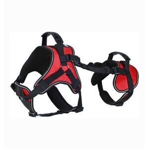 NEW Doggie Stylz Multi-Functional Full-Body Lifting Basic Dog Harness, Small
